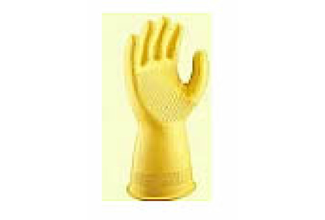 Pongal Glove Yellow/Home Classic S x 144