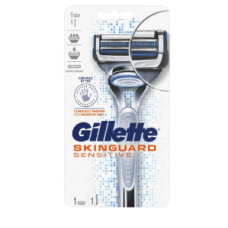 Gillette Razors  Blades &A