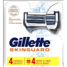Gillette Razors  Blades &A