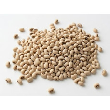 Premium Potasco White Beans (100kg Bag)