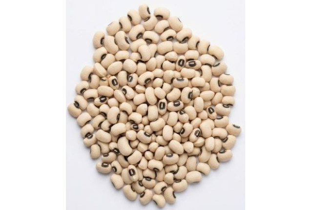 Premium Black Eyed Iron Beans (100 kg Bag)
