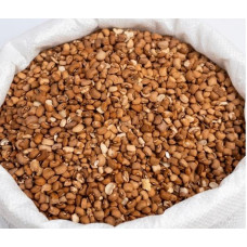 Premium Honey Beans (Oloyin) - 100 kg Ba