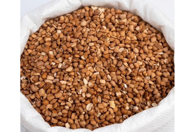 Premium Honey Beans (Oloyin) - 100 kg Bag