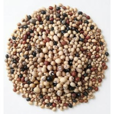 Bambara Nut (Okpa) – 100 kg Bag