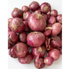 Fresh Onions (100 kg Bag)