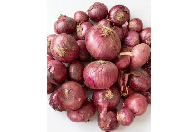 Fresh Onions (100 kg Bag)