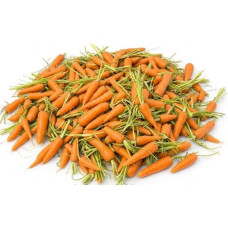 Fresh Carrots in 1 Bag Sack