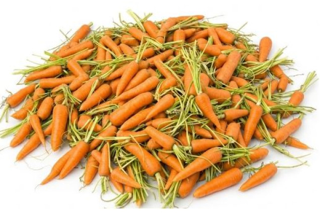 Fresh Carrots in 1 Bag Sack