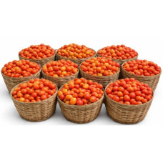 Fresh Tomato Basket - Ripe and Nutritiou