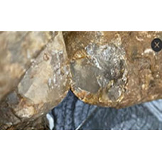 Quartz in Host Rock | Non-Magnetic | 85% Confidence (1 kg)