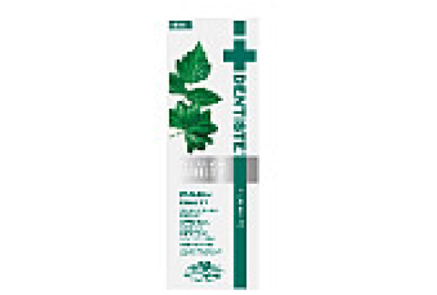 Dentiste Premium and Natural White Toothpaste Tube with box (100g)