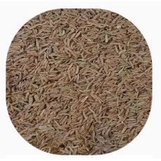 EU/NOP Organic Caraway Seeds with Tail (