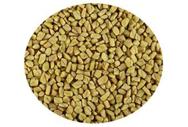 Fenugreek Seeds | EU Compliant - 1 Ton
