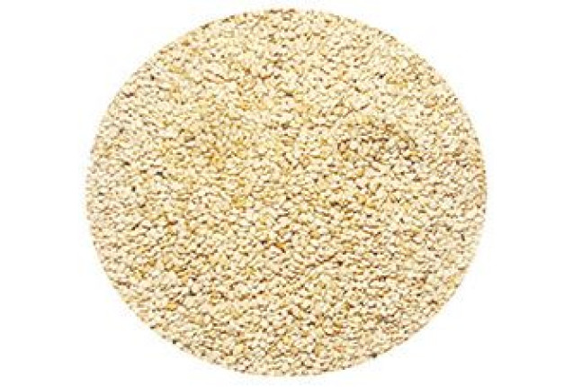 Sudanese White Sesame Seeds (1 Ton)