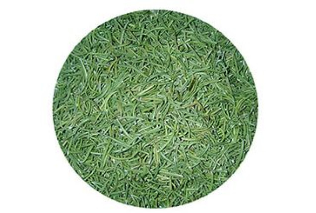 Premium Rosemary Leaves (1 Ton)