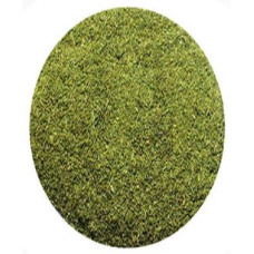 Premium Dill Tips (1 Ton)