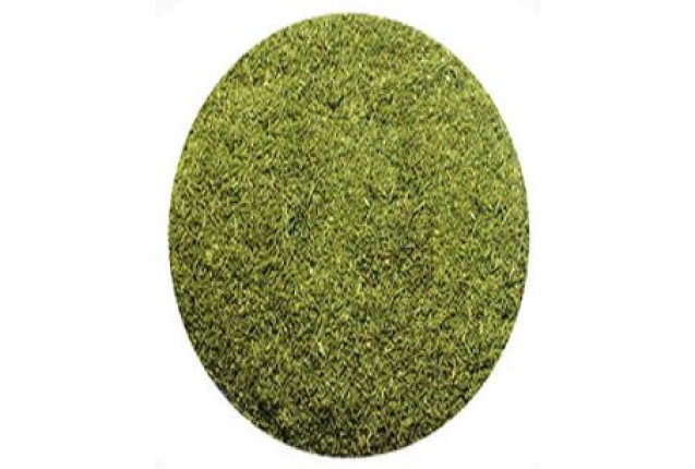 Premium Dill Tips (1 Ton)