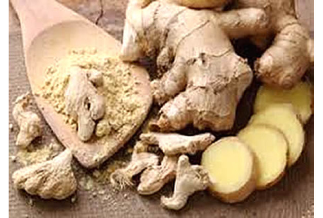 Egy Herbs Ginger (1 Ton)