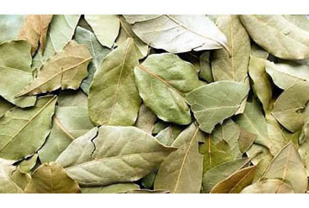 EU/NOP Organic Laura Bay Leaves (1 Ton)