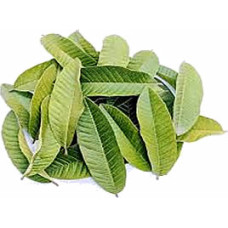 Egy Herbs Guava Leave (1 Ton)