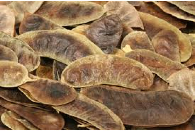 Egy Herbs Senna Leaves & Pods | EU Compliant - 1 Ton