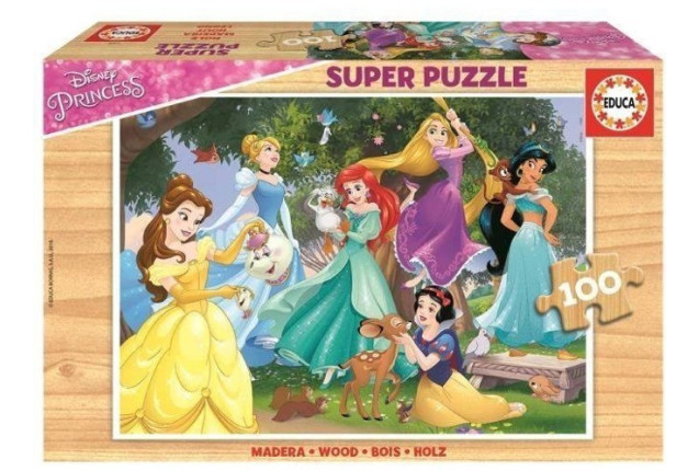 100 DISNEY PRINCESSES x 6