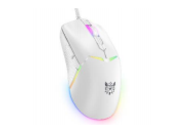 Gaming Mouse (Model CW929) x 60