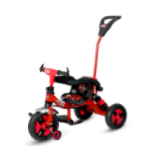 MICRO 2 IN 1 TRIKE