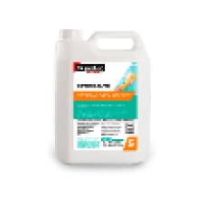 DEGREASING AGENT PRO 5L x 2