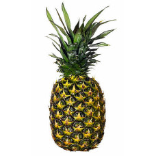 Pineapple (Grade D) Small Size x 12