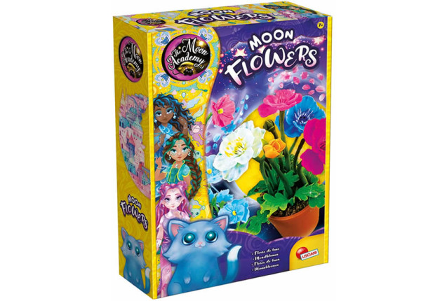 Moon Academy - Flowers x 6