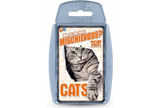 TT Cats And Kittens x 6