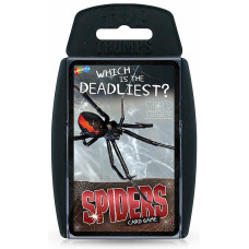 TT Spiders x 6
