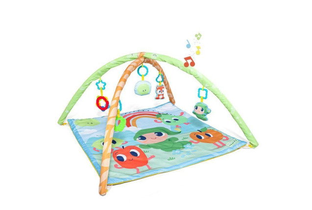 ACTIVITY GYM 3 IN 1 x 6