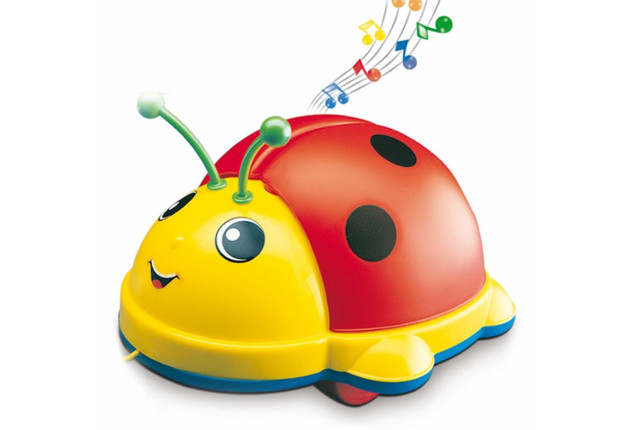 LADY BUG x 6
