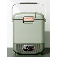 Car Refrigerator (Model T02-12)