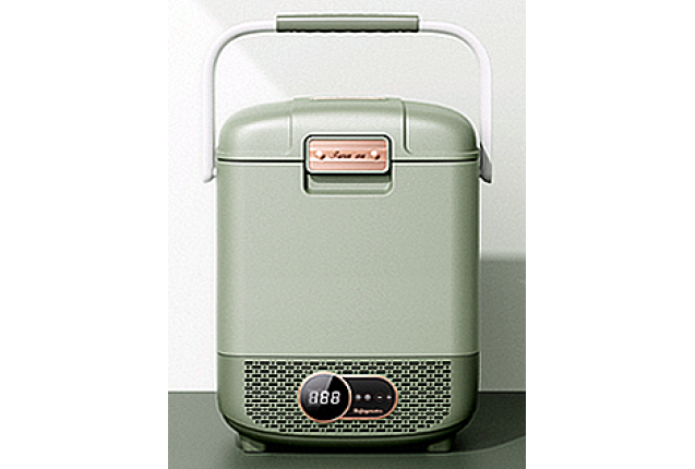 Car Refrigerator (Model T02-12)