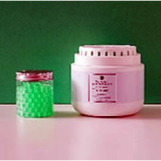 BAS Deodorizer - Peppermint Scent | Big 