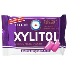 Lotte Xylitol Blueberry Mint G