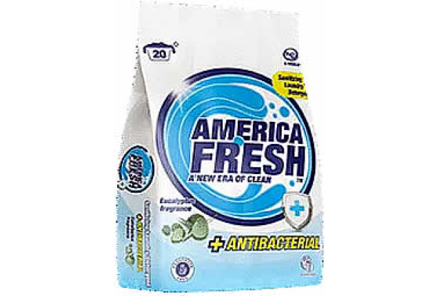Powder Laundry Detergent He - Eucalyptus Antibacterial Fragrance (1.0kg) x 10