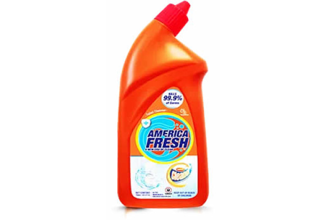 Household Cleaners - Toilet Bowl | Eucalyptus + Antibacterial - 750ml x 12