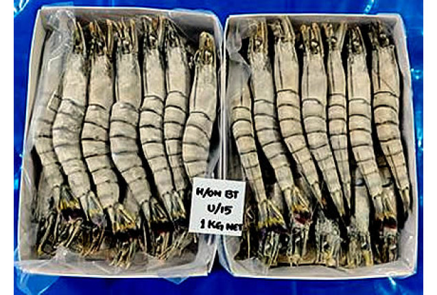 Frozen Black Tiger Shrimps HOSO - Size 31/40 (20%)