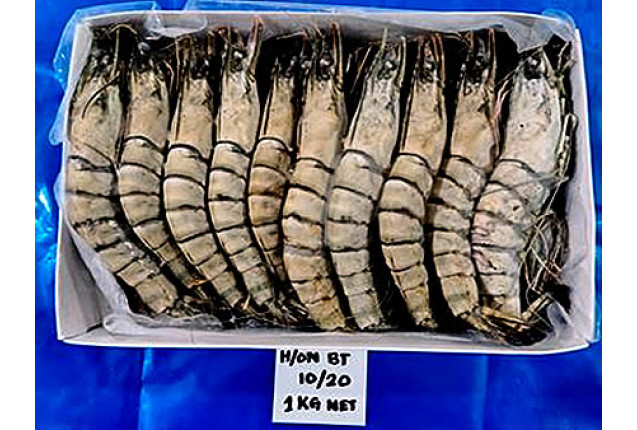 Frozen Black Tiger Shrimps HOSO - Size 31/40 (20%)