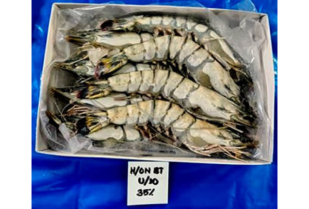 Frozen Black Tiger Shrimps HOSO - Size 31/40 (20%)