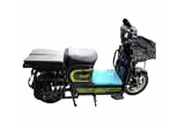 Electric Tricycle (Model: King of Load Capacity)