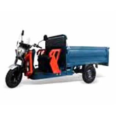 Electric Tricycle (Model: 1.8 Cargo Cont