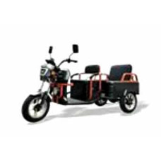 Electric Multi-Functional Tricycle