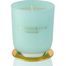 Vela Green (420g) x 12