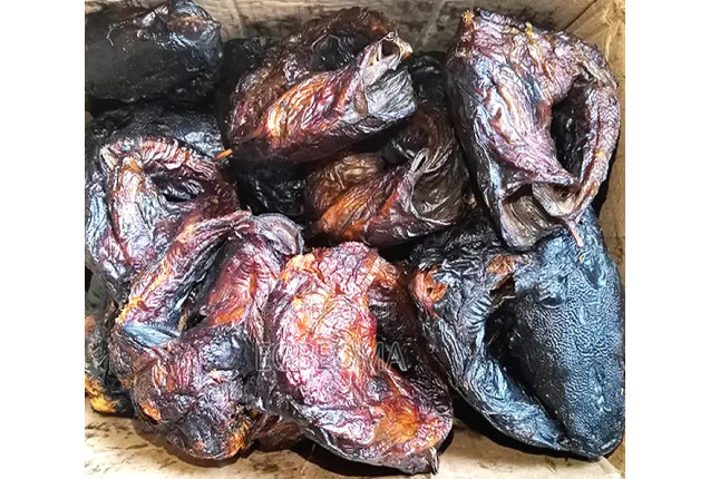 Mangala Fish (25 pcs)