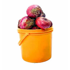 Onions (One Paint Bucket)